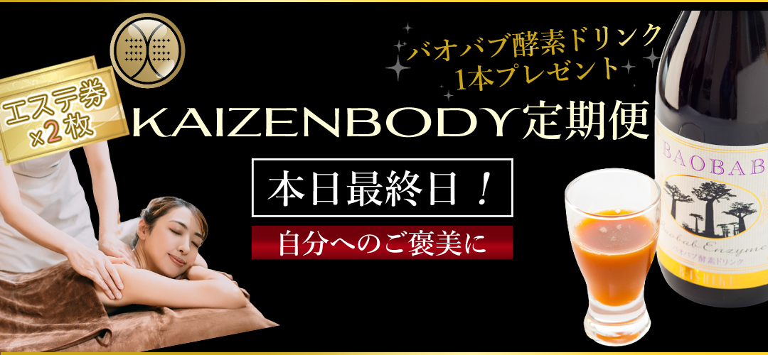 プレゼント　定期便　KAIZENBODY