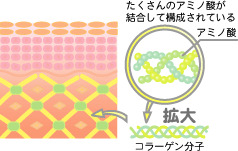 ミナト式くわ青汁　2.2g×60袋（スティックタイプ）