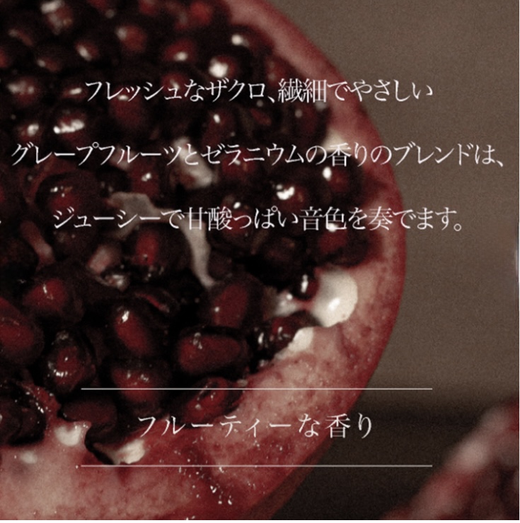 ARTiS di Voce ナリシングネイルオイル 10ml 3306n FIRST POMEGRANATE