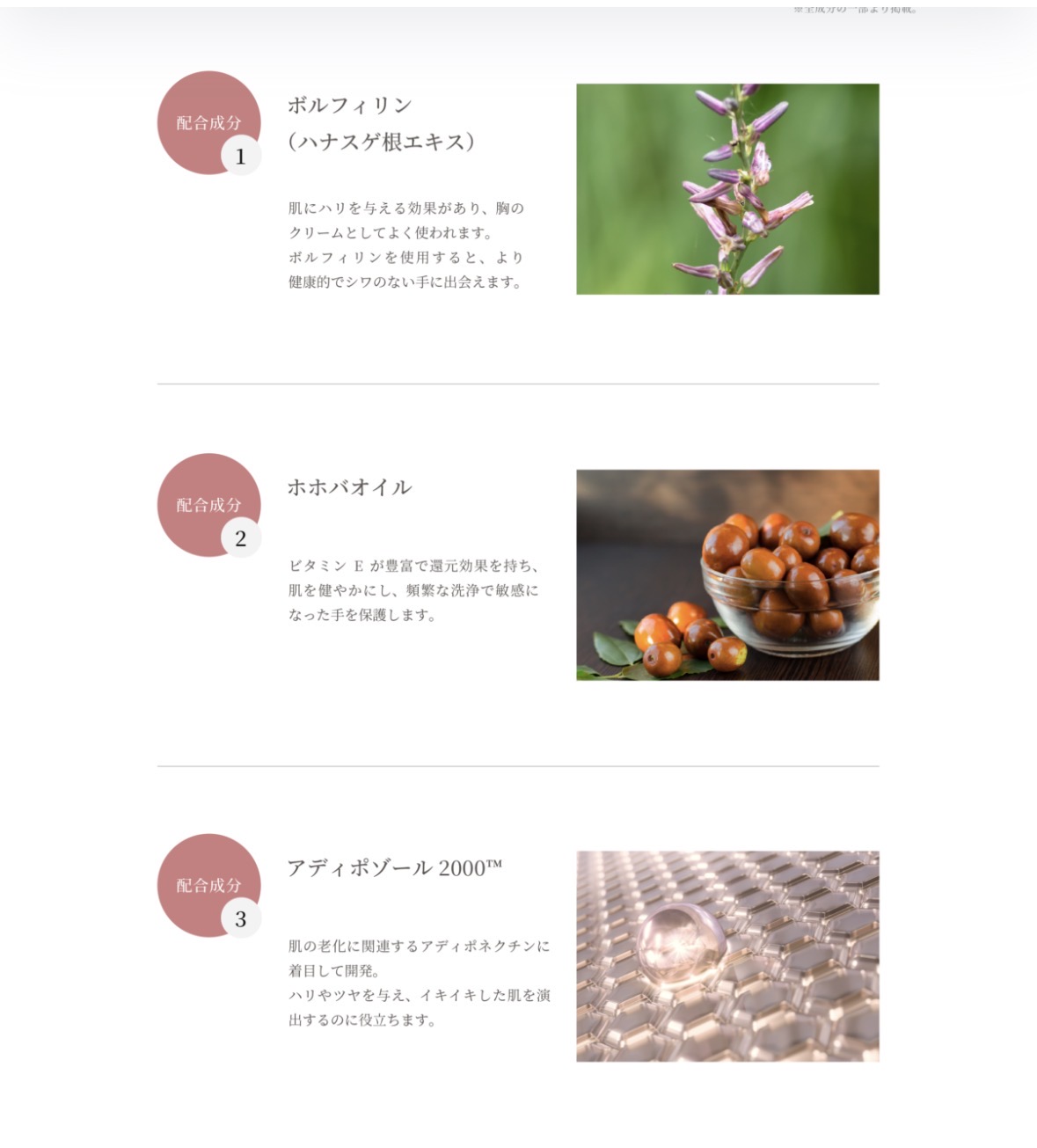 タイディリズムハンドクリーム75ml