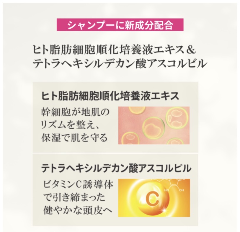 ゴクビプロ プレミアム グリーンティーアロマ シャンプー＆トリートメントセット