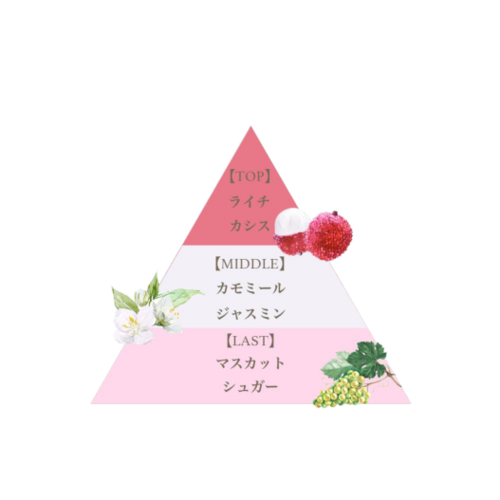 FERNANDA(フェルナンダ)リッチネイルトリートメント ライチ 6g