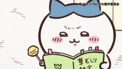 ハチワレ